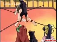 Green haired chick gets fucked by a k9 dog while tied up